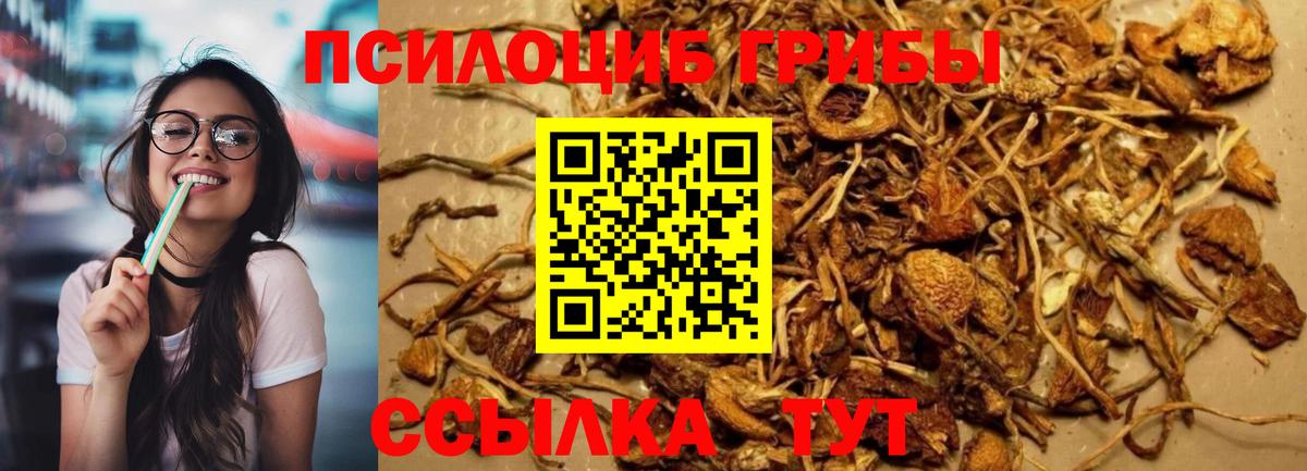 Псилоцибиновые грибы Magic Shrooms  Вход с VPN  наркота  Челябинск 